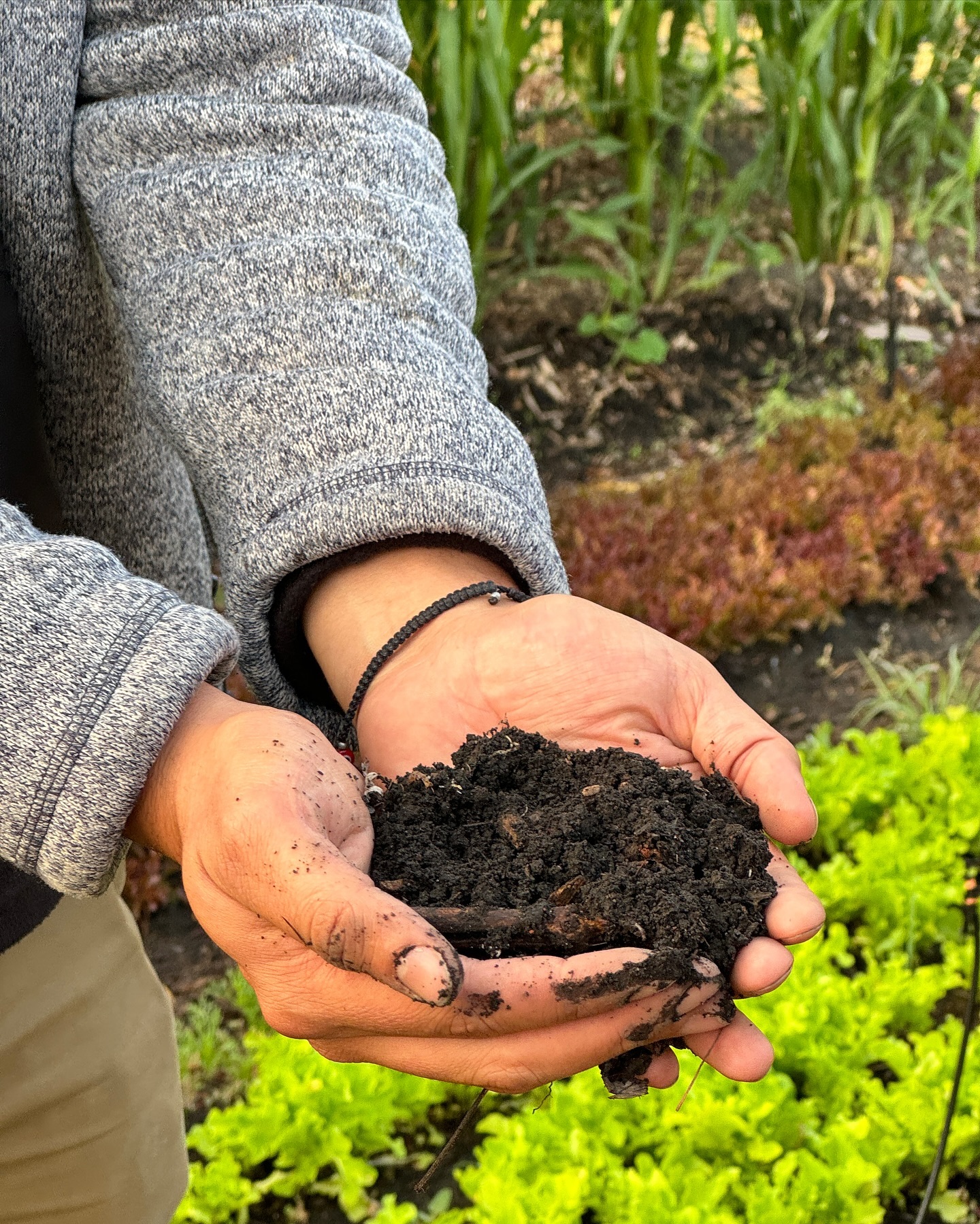 เต้ย - จรินทร์พร จุนเกียรติ