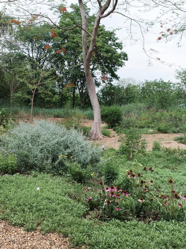 เต้ย - จรินทร์พร จุนเกียรติ