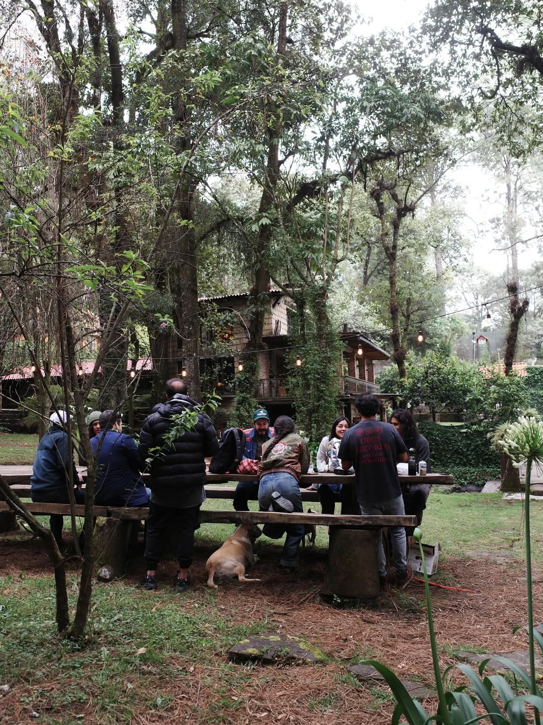 เต้ย - จรินทร์พร จุนเกียรติ