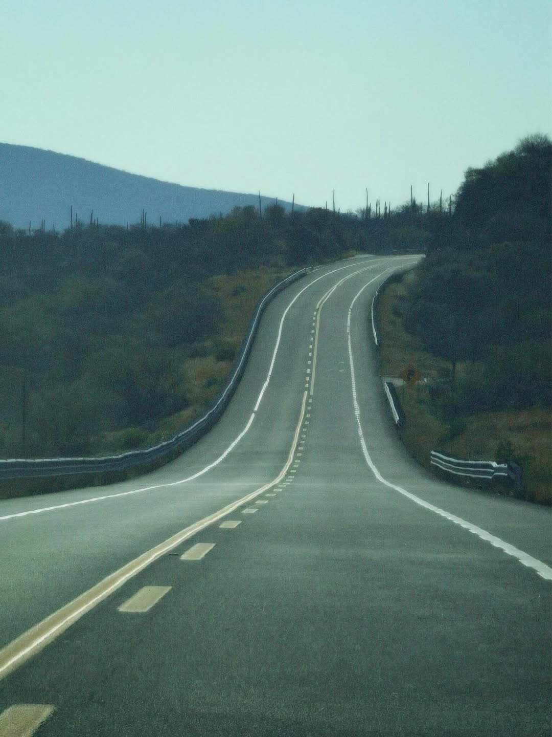 เต้ย - จรินทร์พร จุนเกียรติ