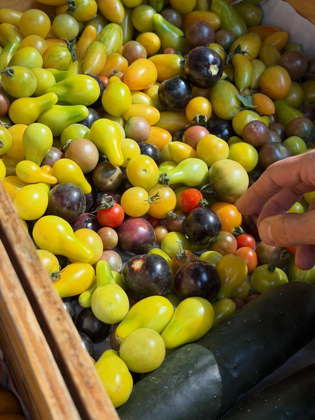 เต้ย - จรินทร์พร จุนเกียรติ