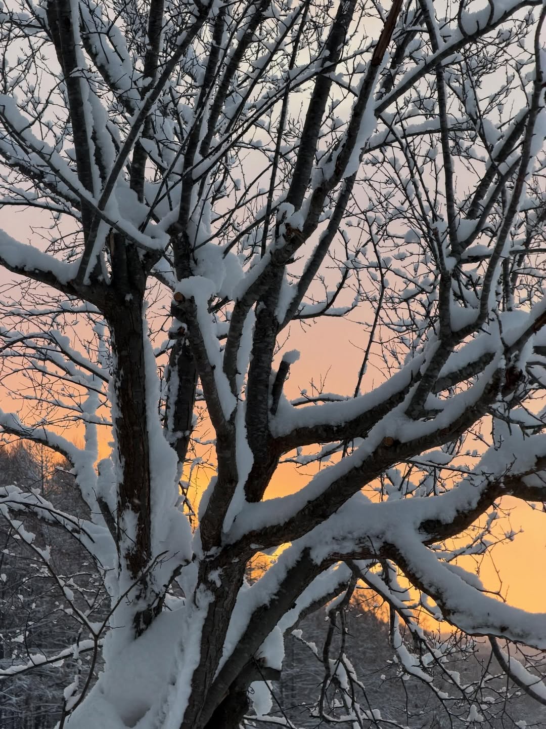 เต้ย - จรินทร์พร จุนเกียรติ