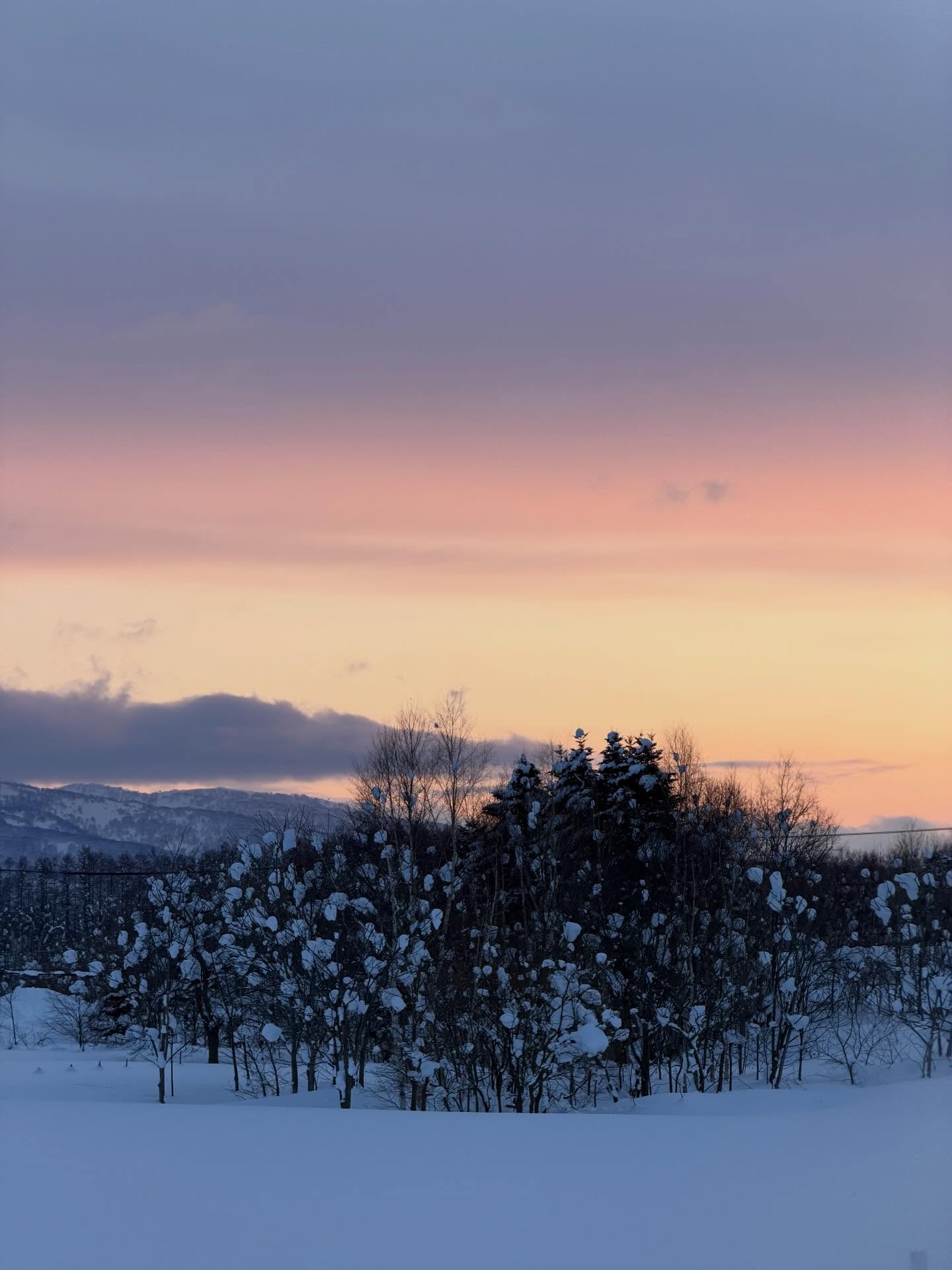 เต้ย - จรินทร์พร จุนเกียรติ