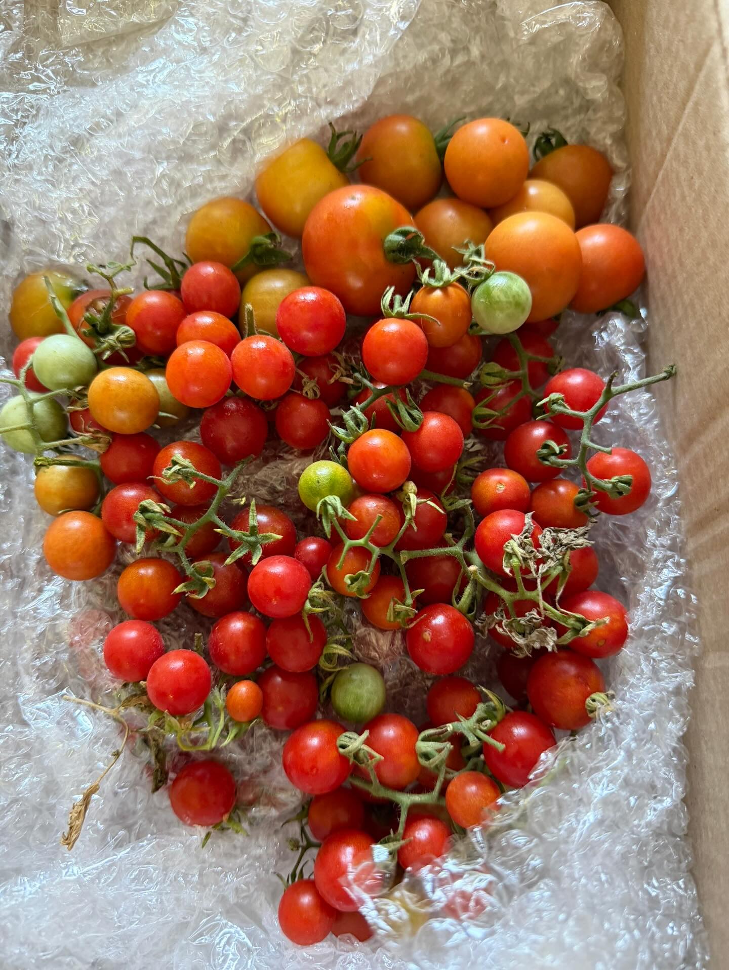 เต้ย - จรินทร์พร จุนเกียรติ