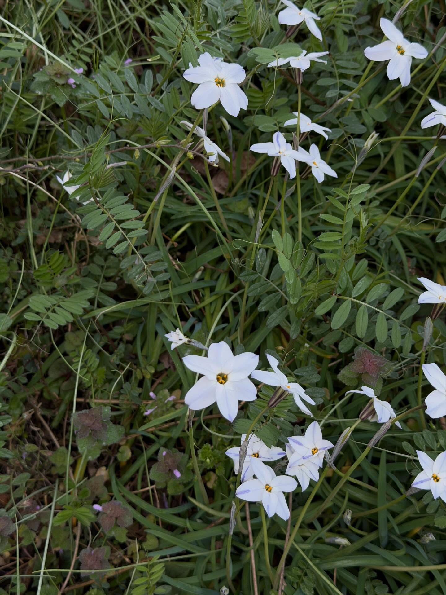 เต้ย - จรินทร์พร จุนเกียรติ