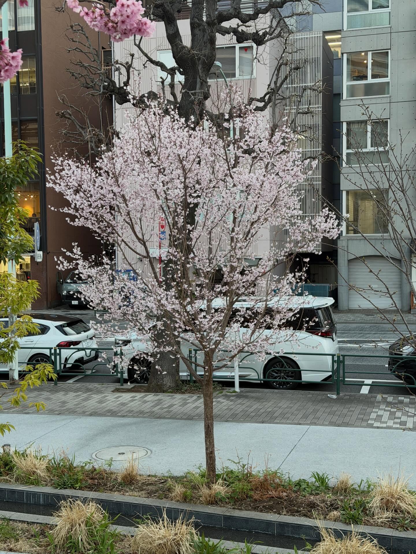 เต้ย - จรินทร์พร จุนเกียรติ