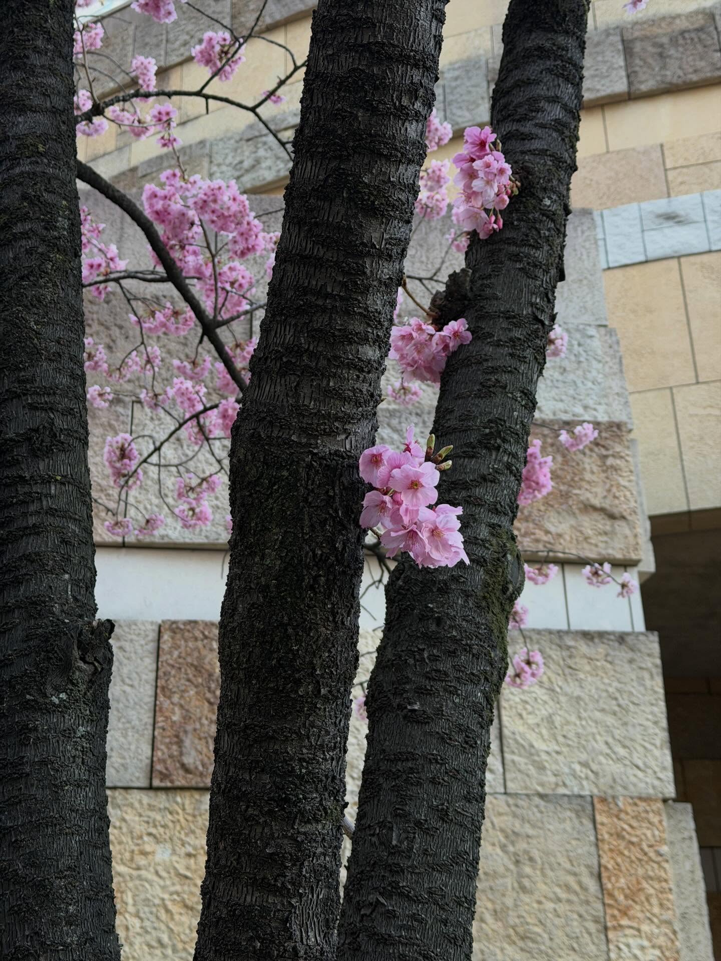 เต้ย - จรินทร์พร จุนเกียรติ