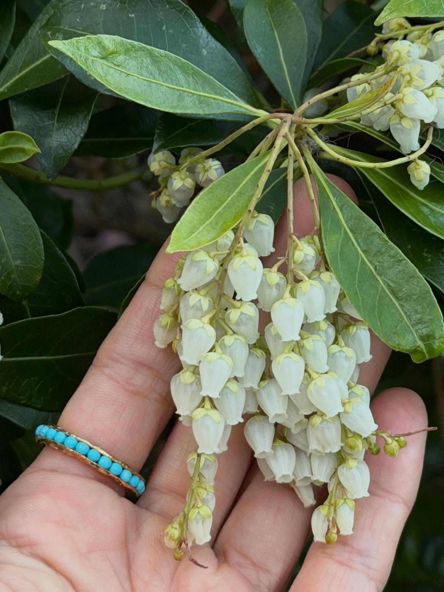 เต้ย - จรินทร์พร จุนเกียรติ