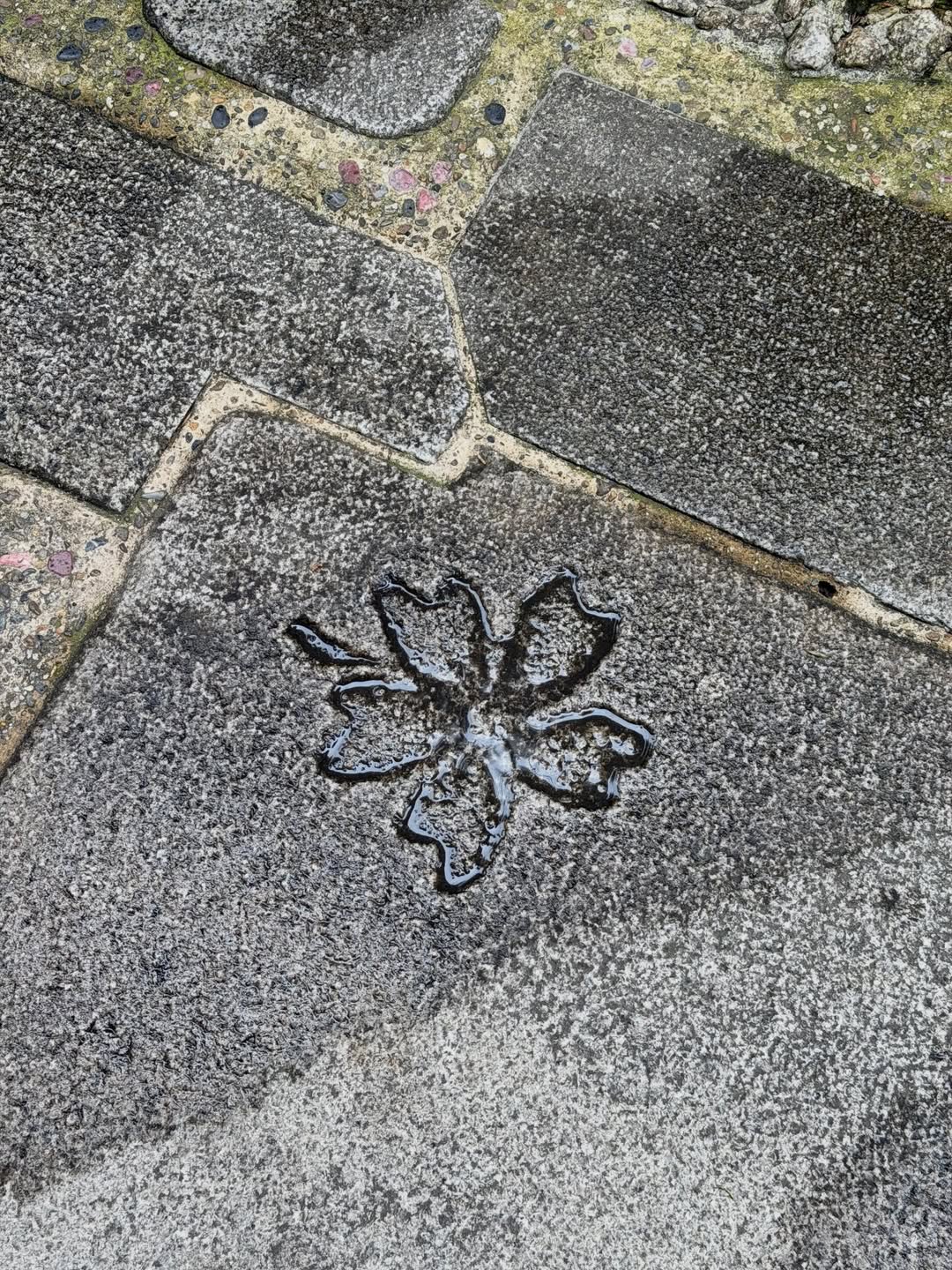 เต้ย - จรินทร์พร จุนเกียรติ