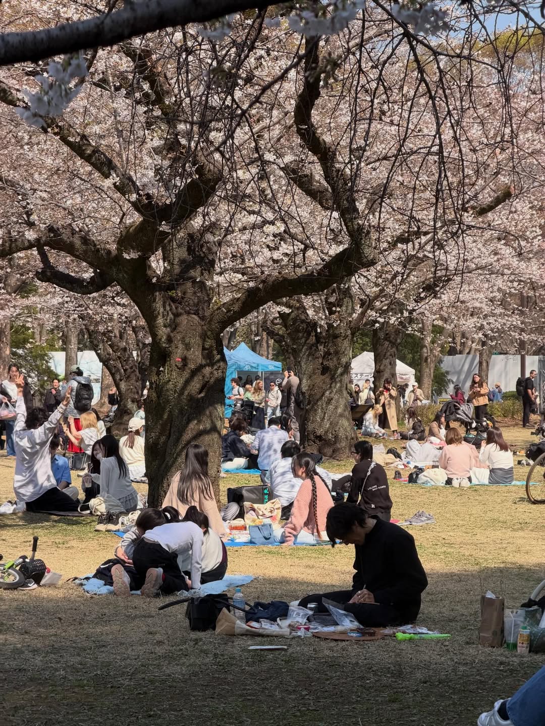 เต้ย - จรินทร์พร จุนเกียรติ