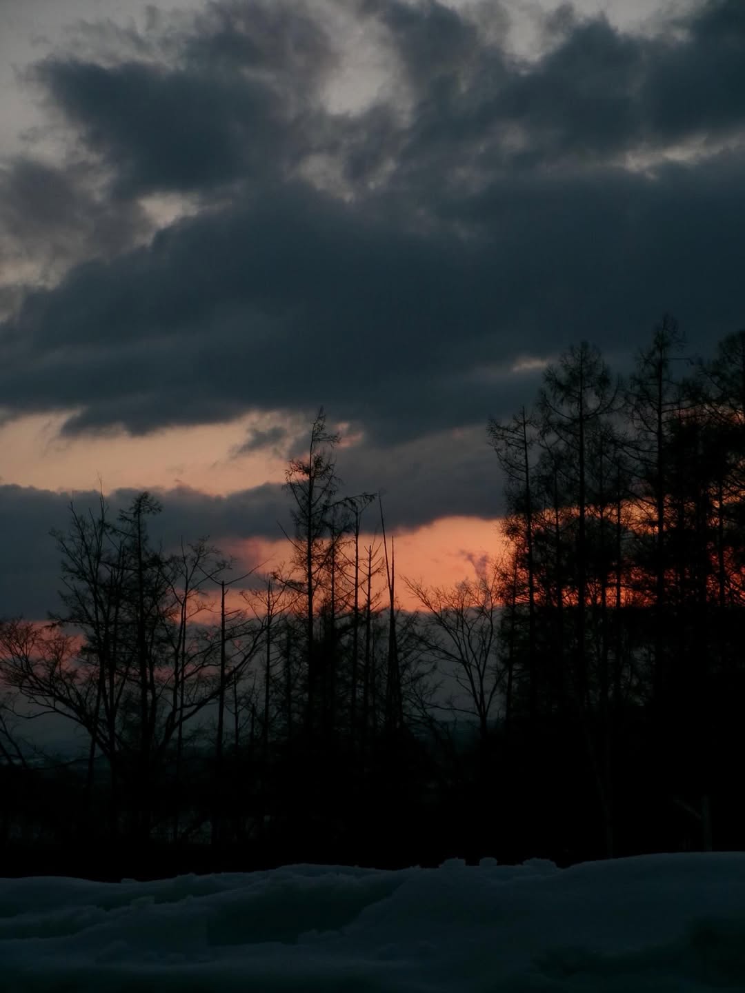 เต้ย - จรินทร์พร จุนเกียรติ