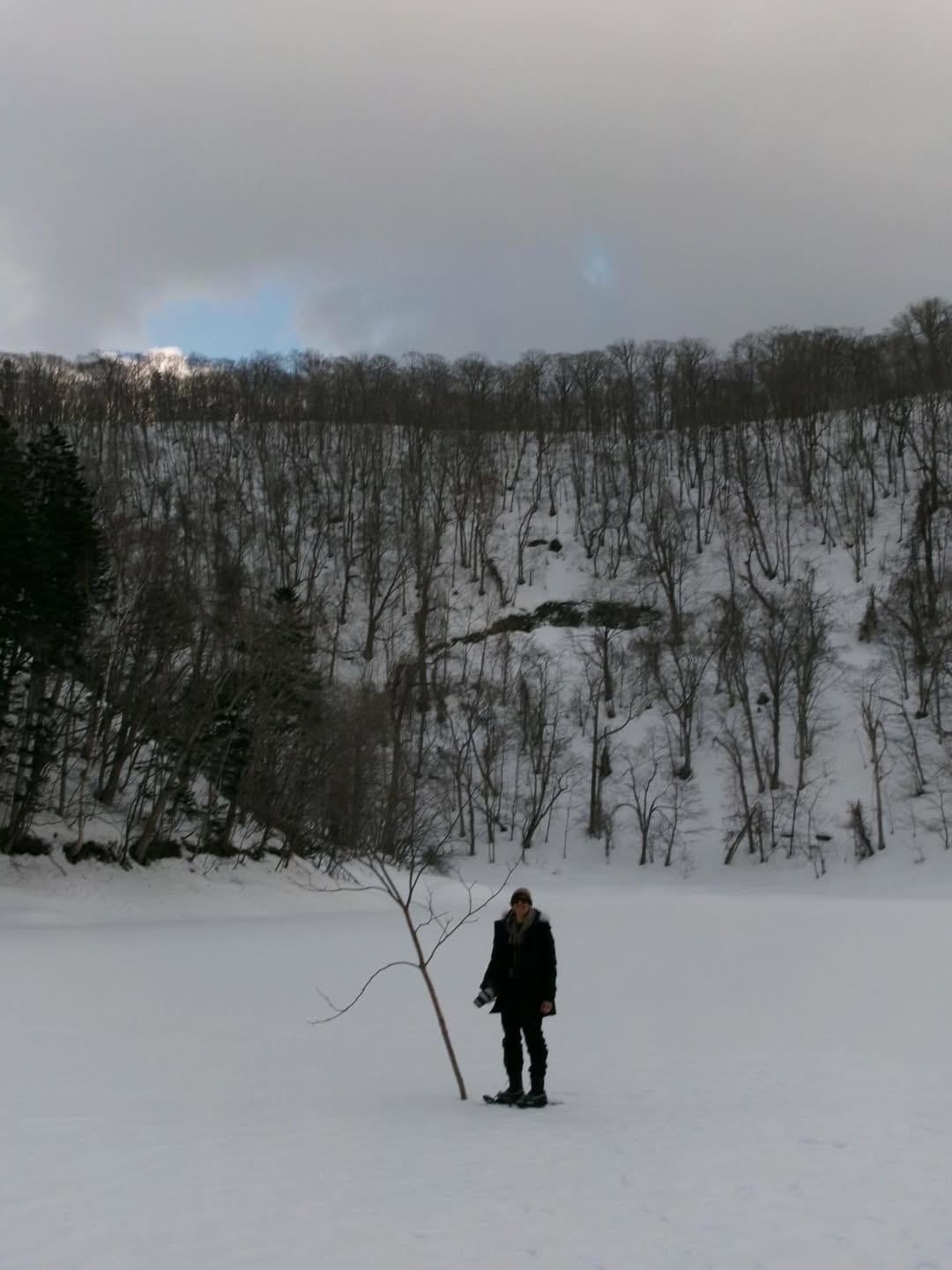 เต้ย - จรินทร์พร จุนเกียรติ