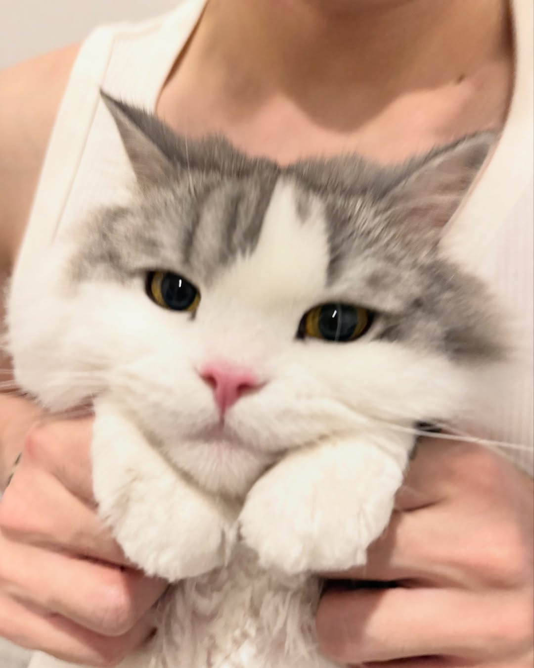 เบน - เบญจมินทร์ เบรเซียร์