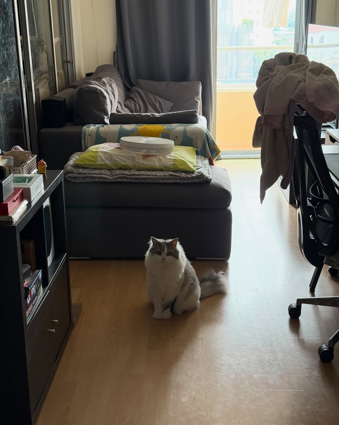 เบน - เบญจมินทร์ เบรเซียร์