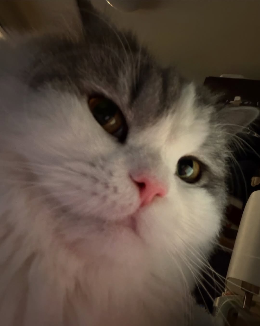 เบน - เบญจมินทร์ เบรเซียร์