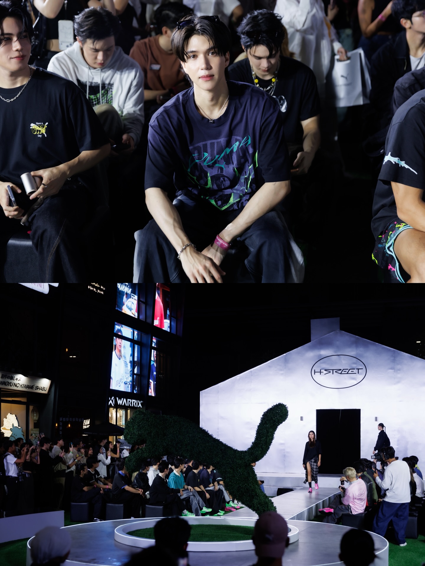 เบน - เบญจมินทร์ เบรเซียร์