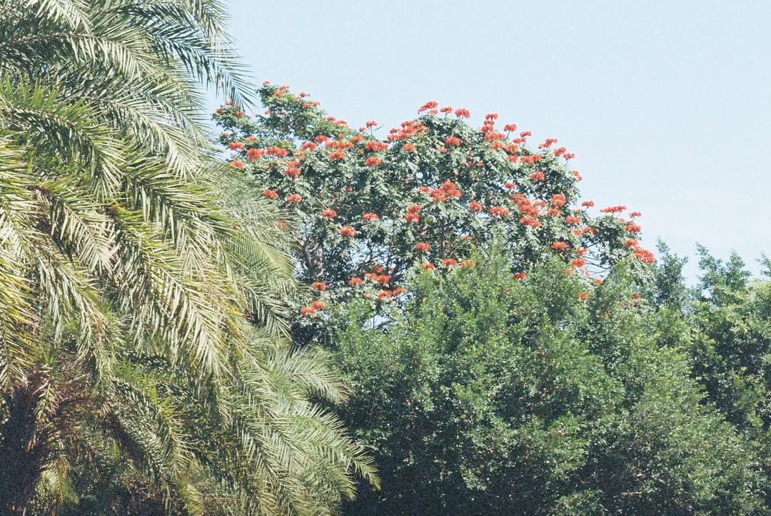 แพทริค - ณัฐวรรธ์ ฟิงค์เลอร์