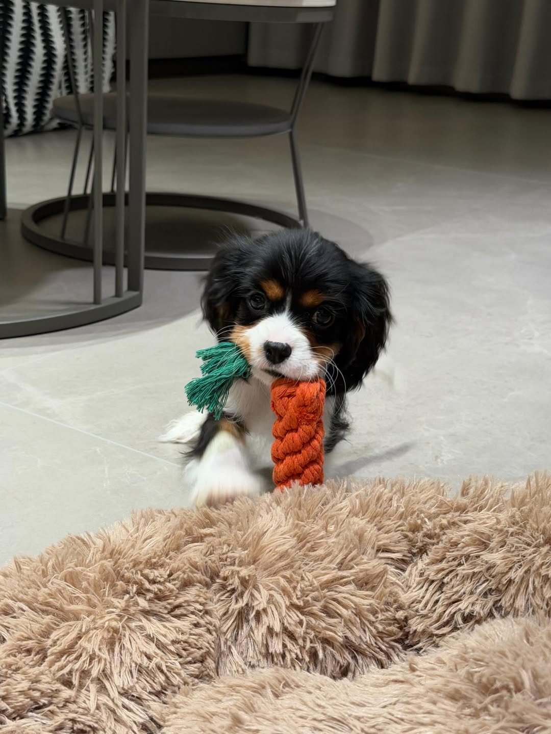 แพทริค - ณัฐวรรธ์ ฟิงค์เลอร์