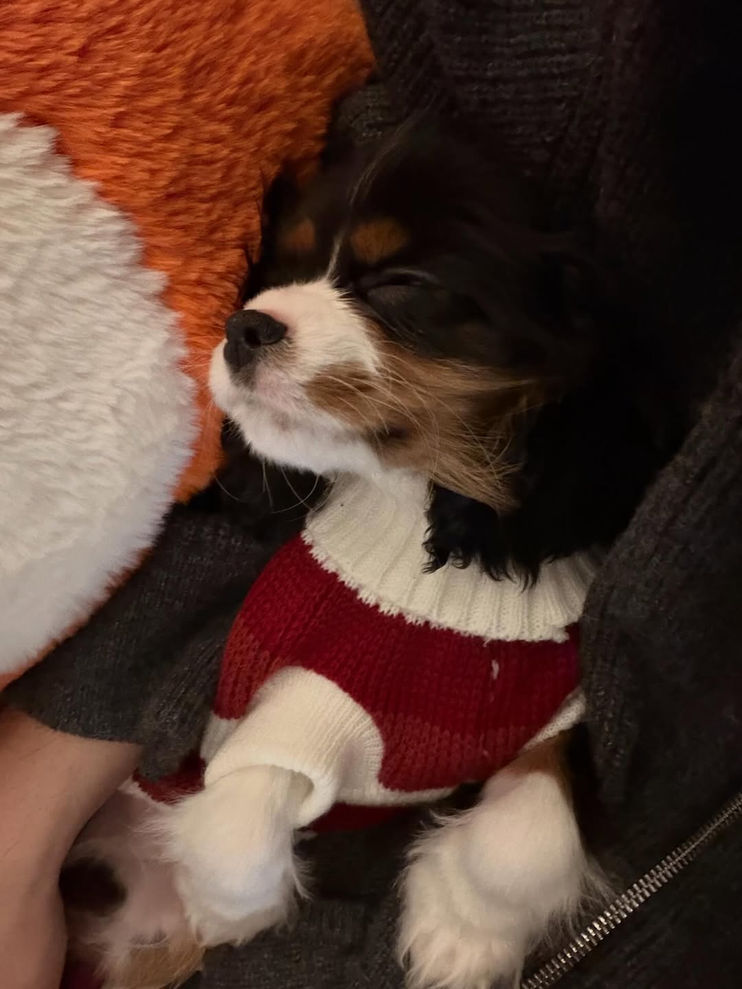 แพทริค - ณัฐวรรธ์ ฟิงค์เลอร์