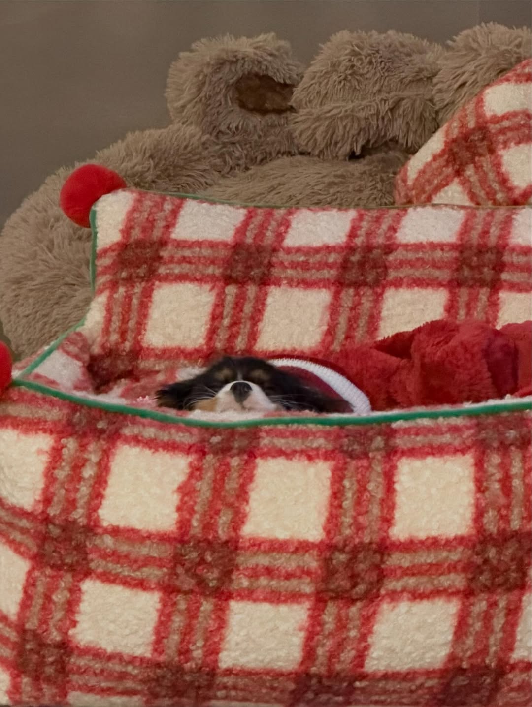 แพทริค - ณัฐวรรธ์ ฟิงค์เลอร์