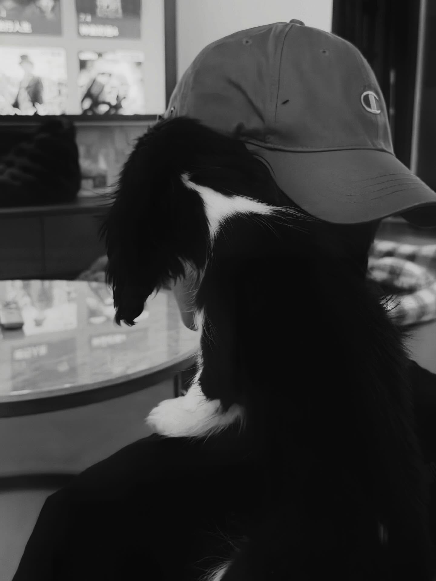 แพทริค - ณัฐวรรธ์ ฟิงค์เลอร์