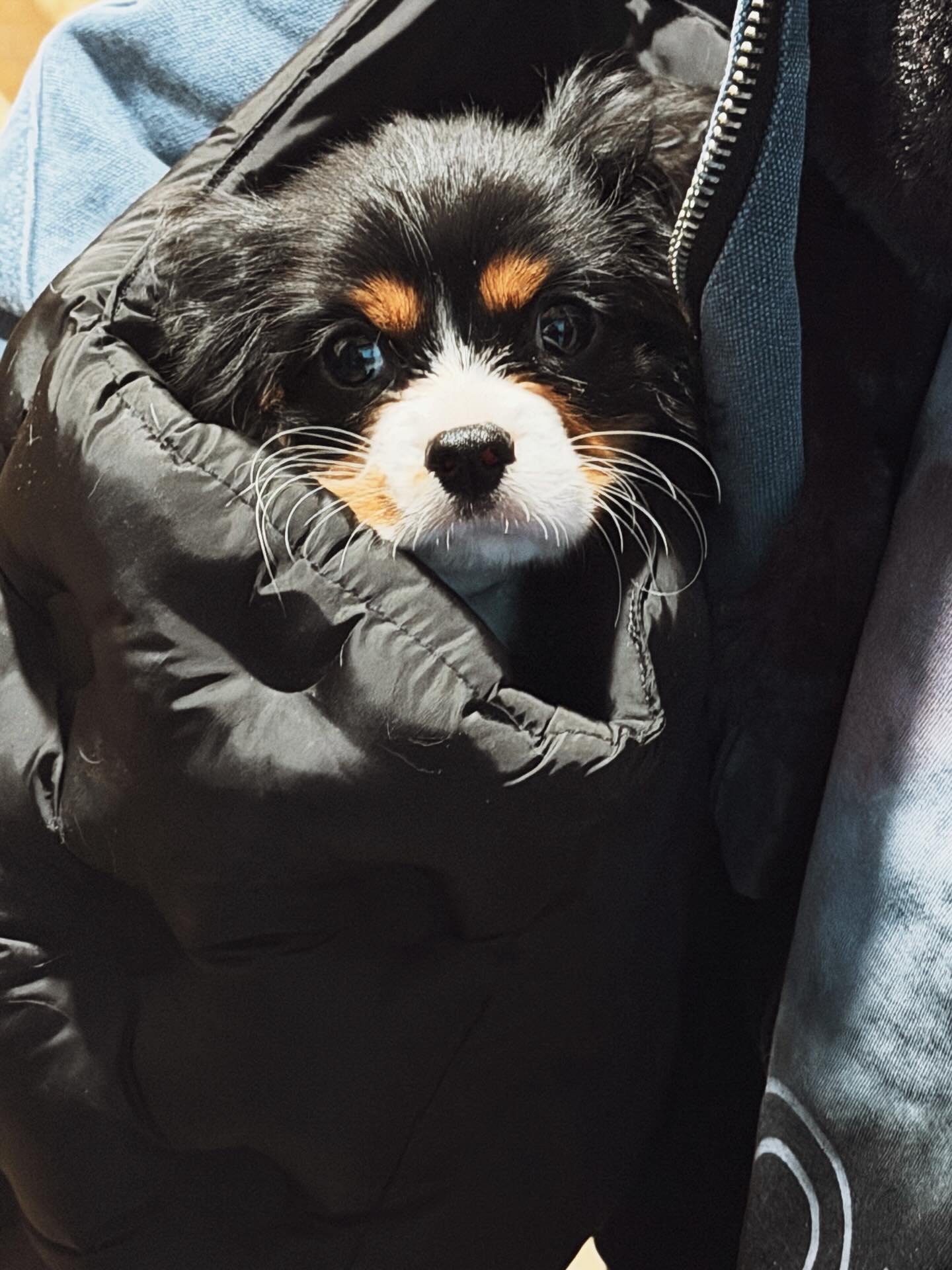 แพทริค - ณัฐวรรธ์ ฟิงค์เลอร์