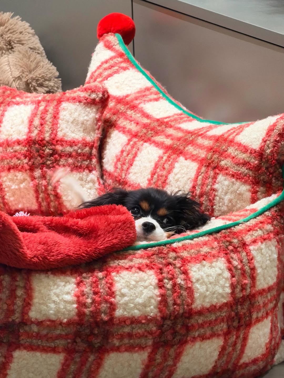 แพทริค - ณัฐวรรธ์ ฟิงค์เลอร์