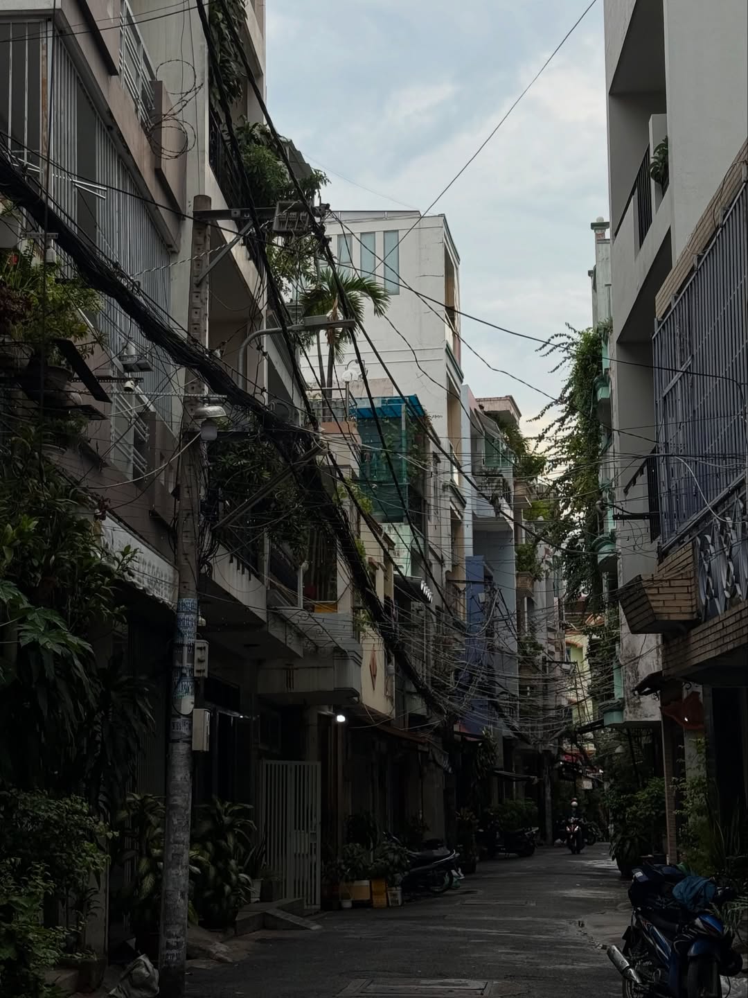 ฟรีน - สโรชา จันทร์กิมฮะ