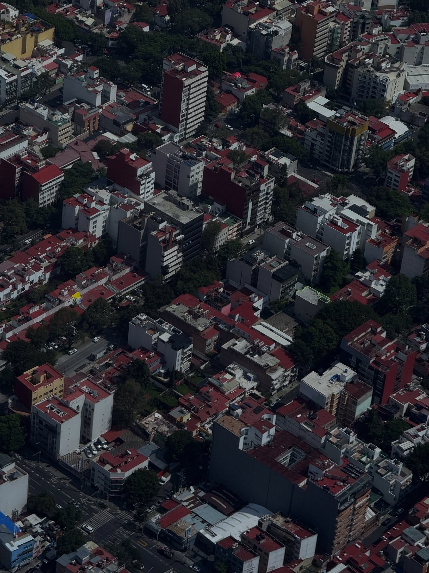 ฟรีน - สโรชา จันทร์กิมฮะ