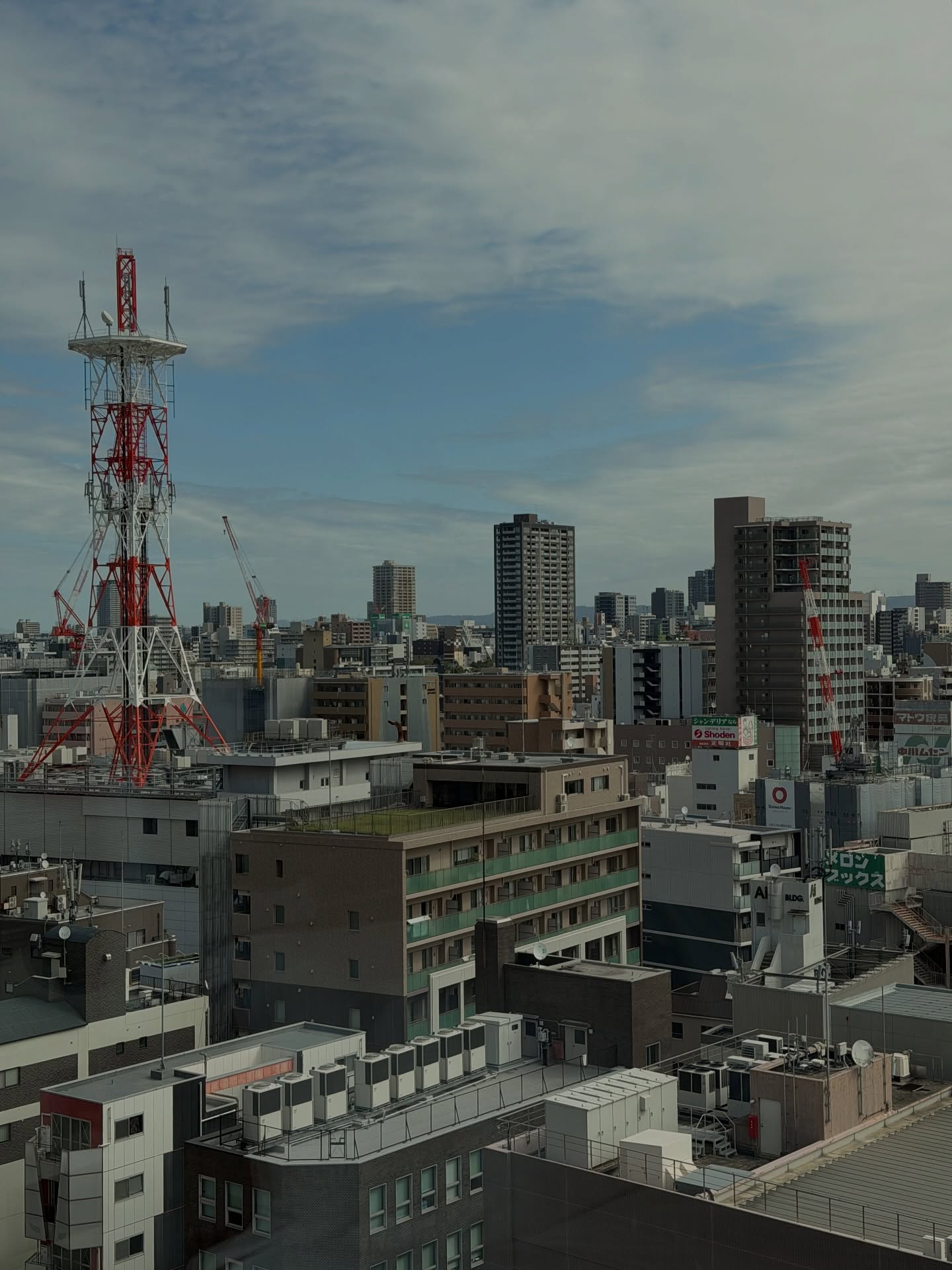 ฟรีน - สโรชา จันทร์กิมฮะ