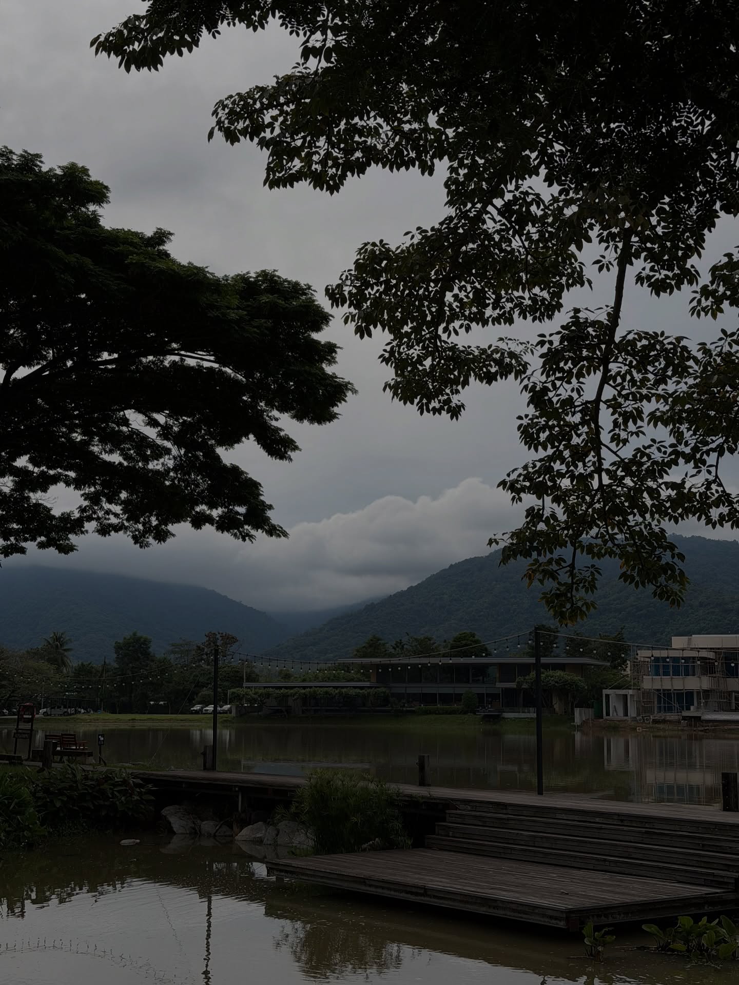 ฟรีน - สโรชา จันทร์กิมฮะ