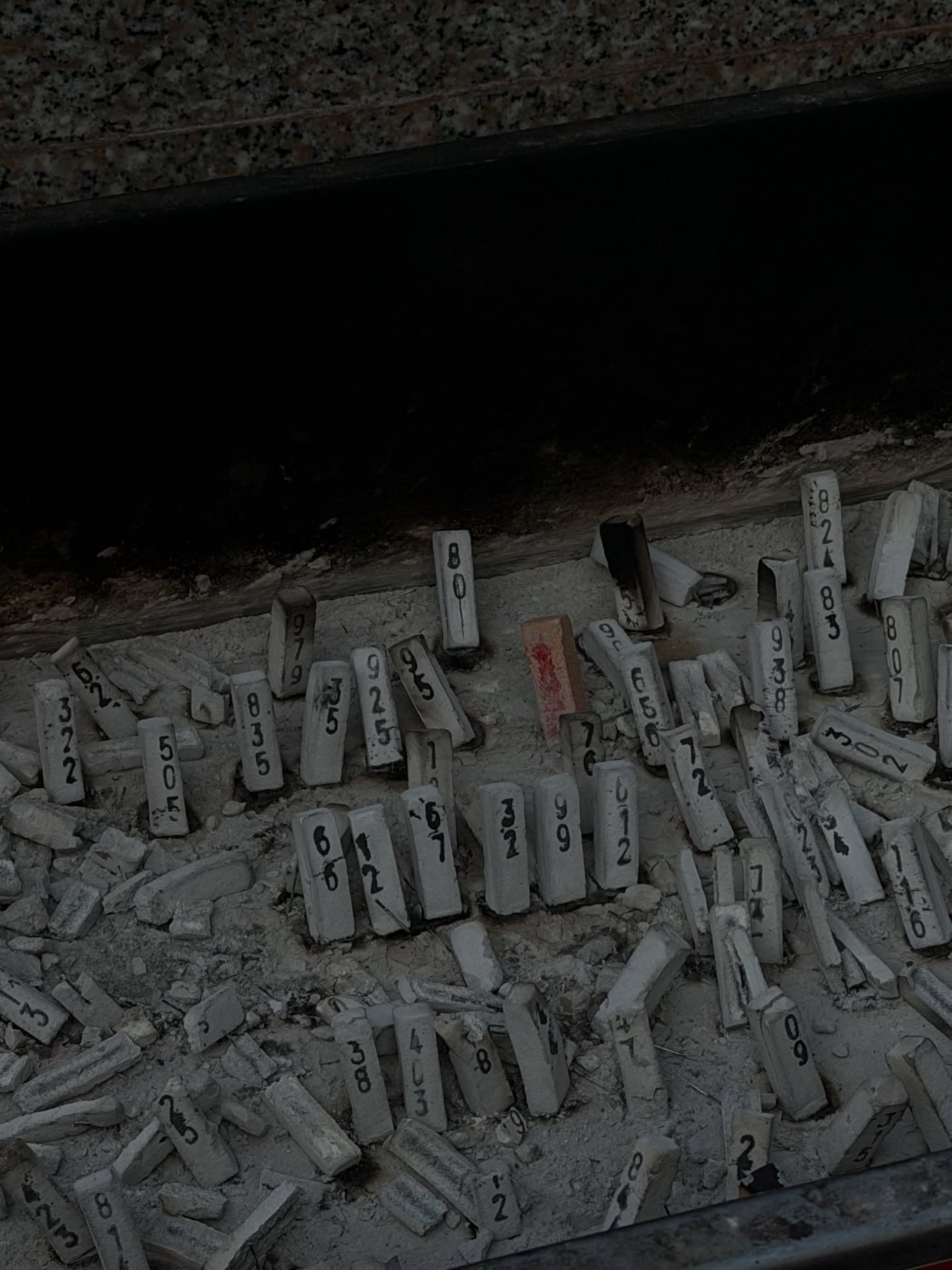 ฟรีน - สโรชา จันทร์กิมฮะ