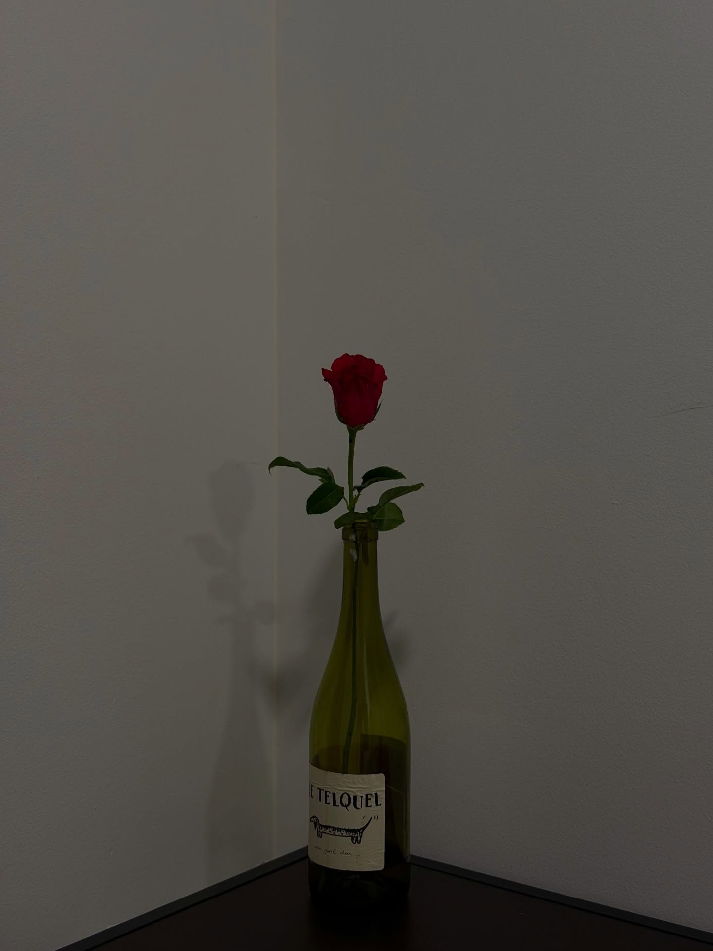 ฟรีน - สโรชา จันทร์กิมฮะ