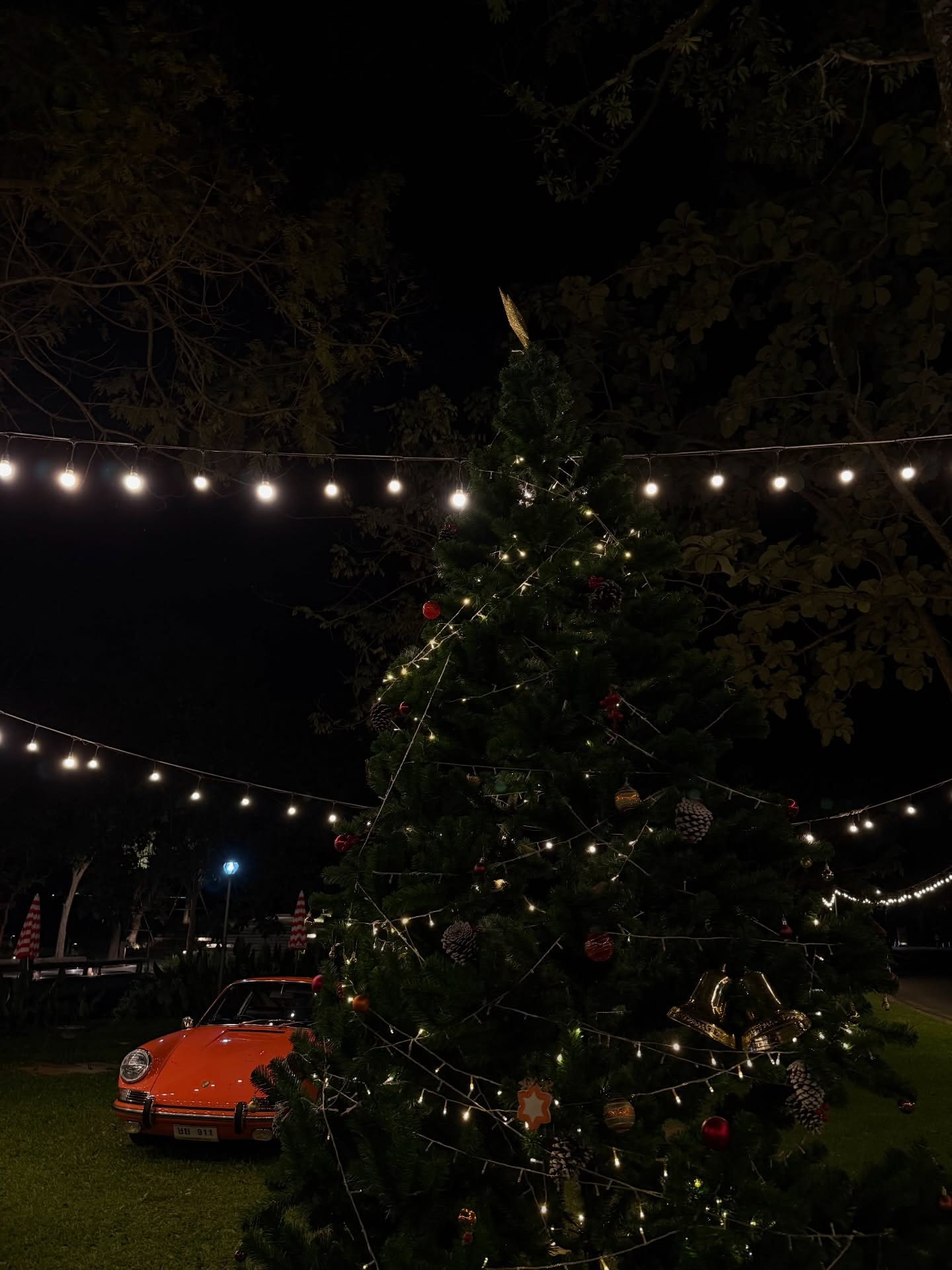 ฟรีน - สโรชา จันทร์กิมฮะ