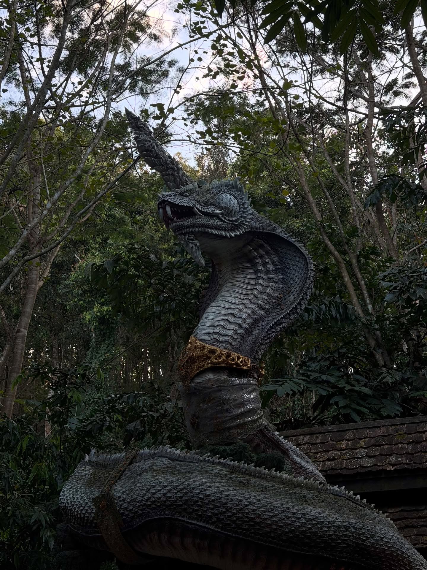 ฟรีน - สโรชา จันทร์กิมฮะ