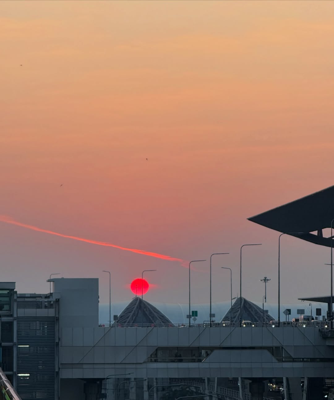 ฟรีน - สโรชา จันทร์กิมฮะ