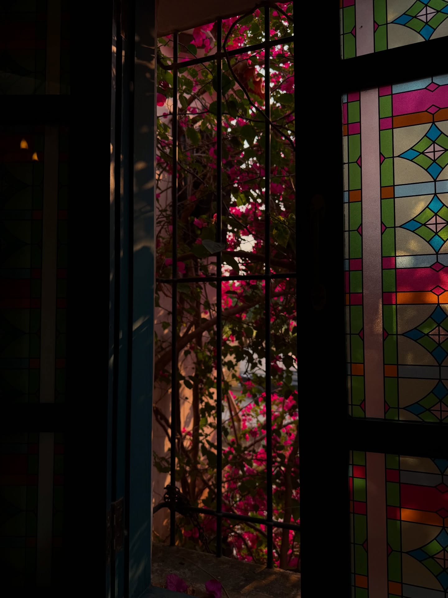 ฟรีน - สโรชา จันทร์กิมฮะ