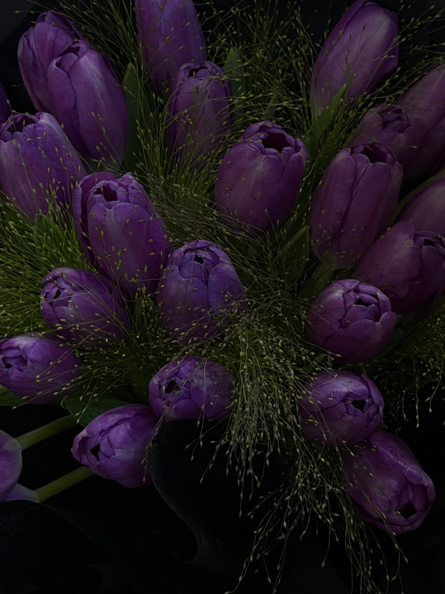 ฟรีน - สโรชา จันทร์กิมฮะ