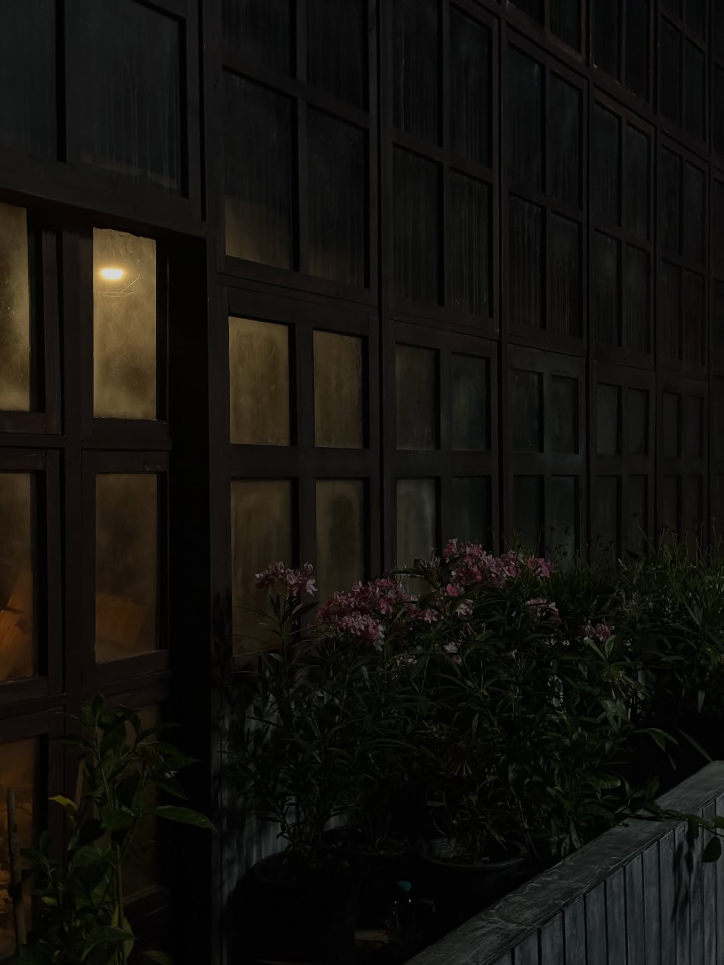 ฟรีน - สโรชา จันทร์กิมฮะ