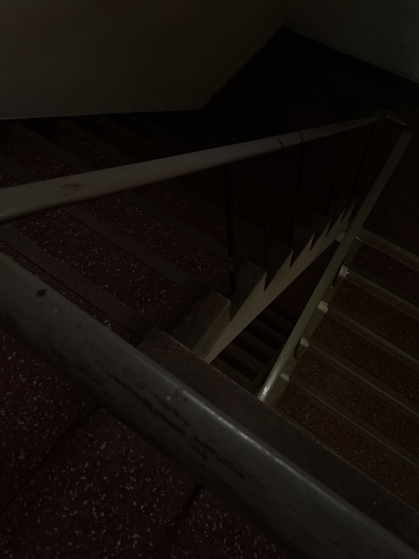 ฟรีน - สโรชา จันทร์กิมฮะ