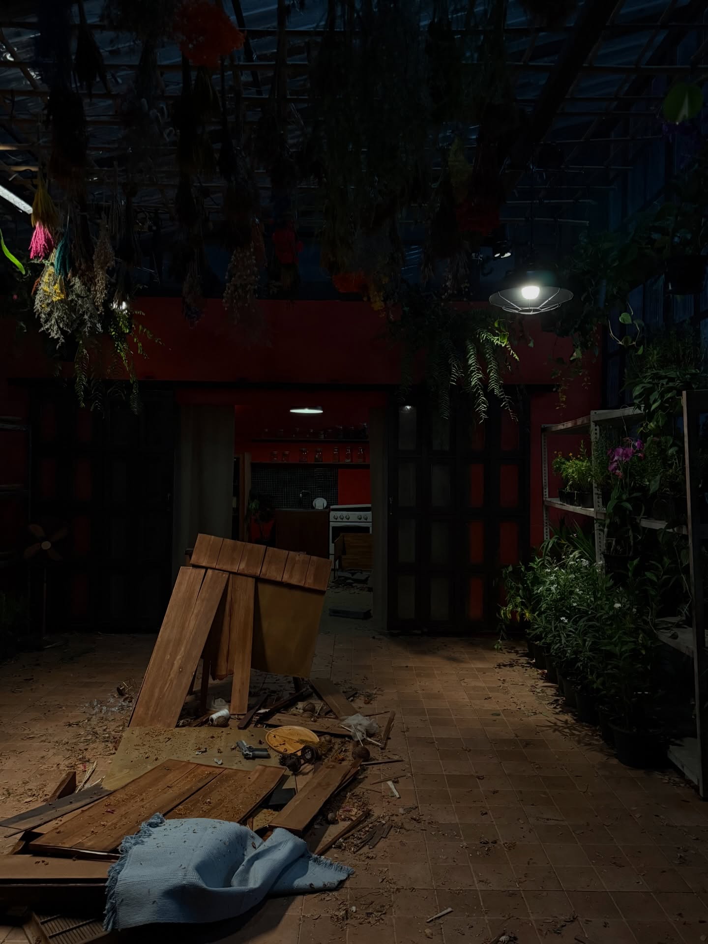 ฟรีน - สโรชา จันทร์กิมฮะ