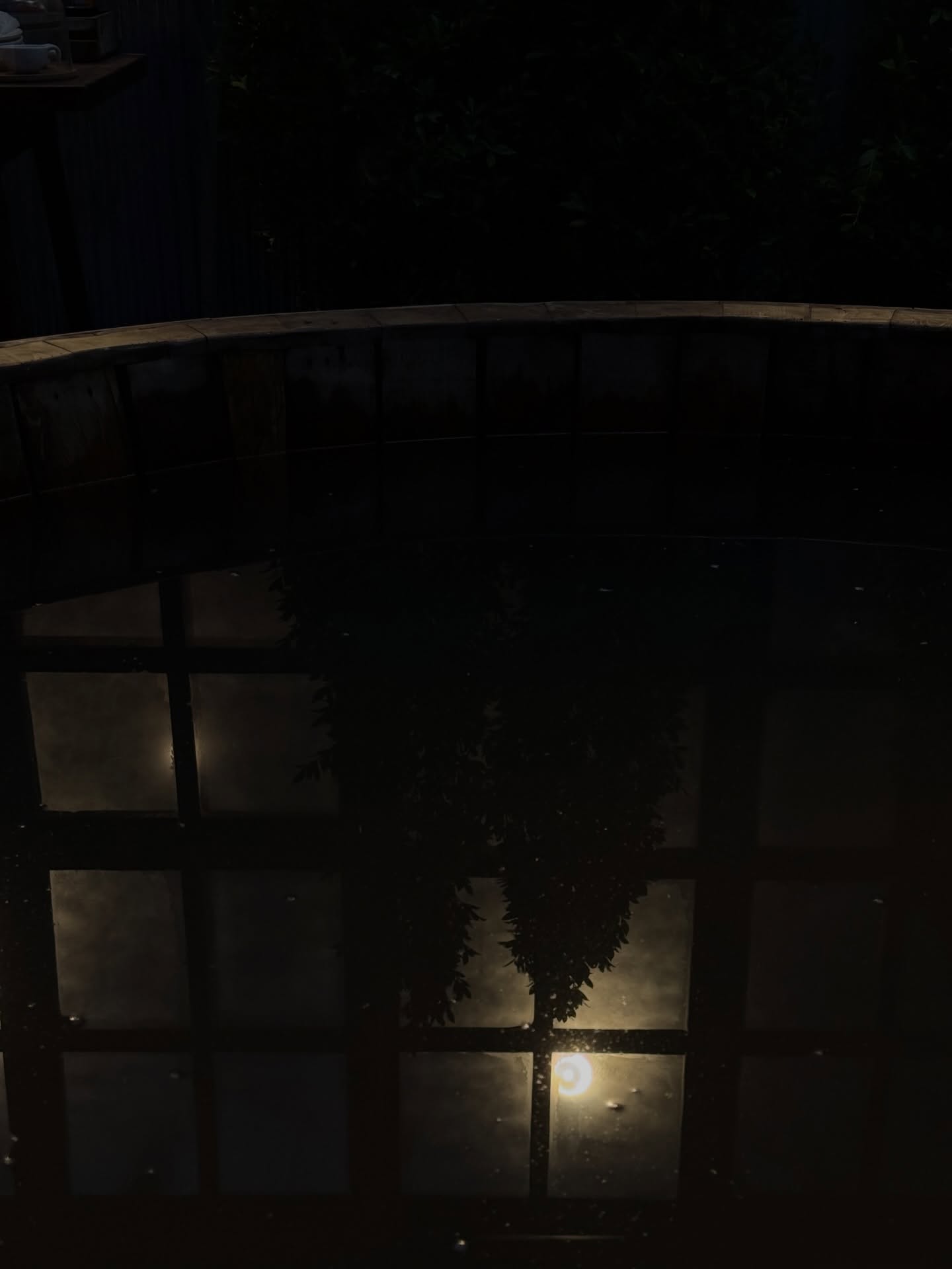 ฟรีน - สโรชา จันทร์กิมฮะ