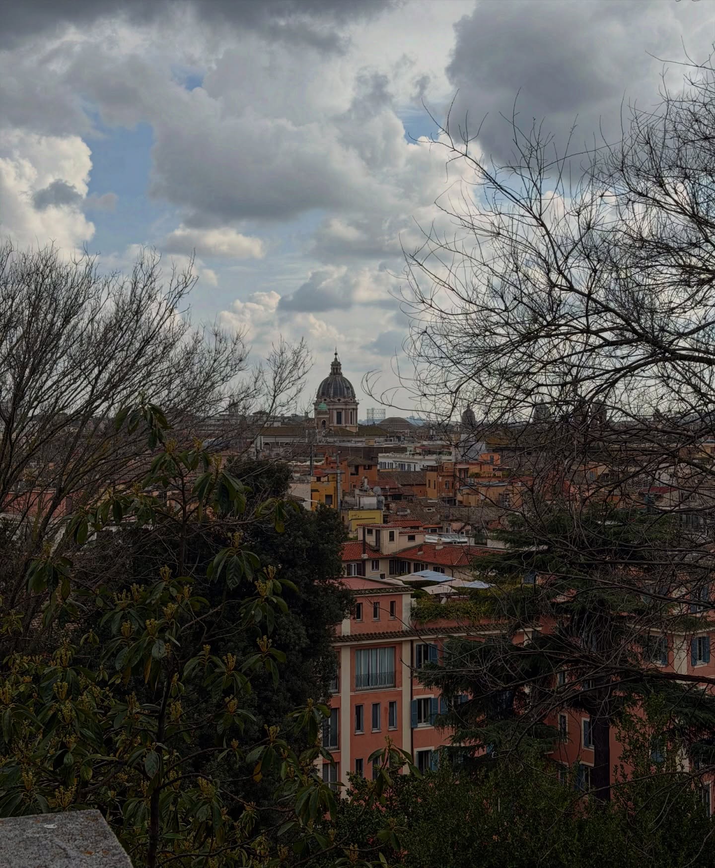 ฟรีน - สโรชา จันทร์กิมฮะ