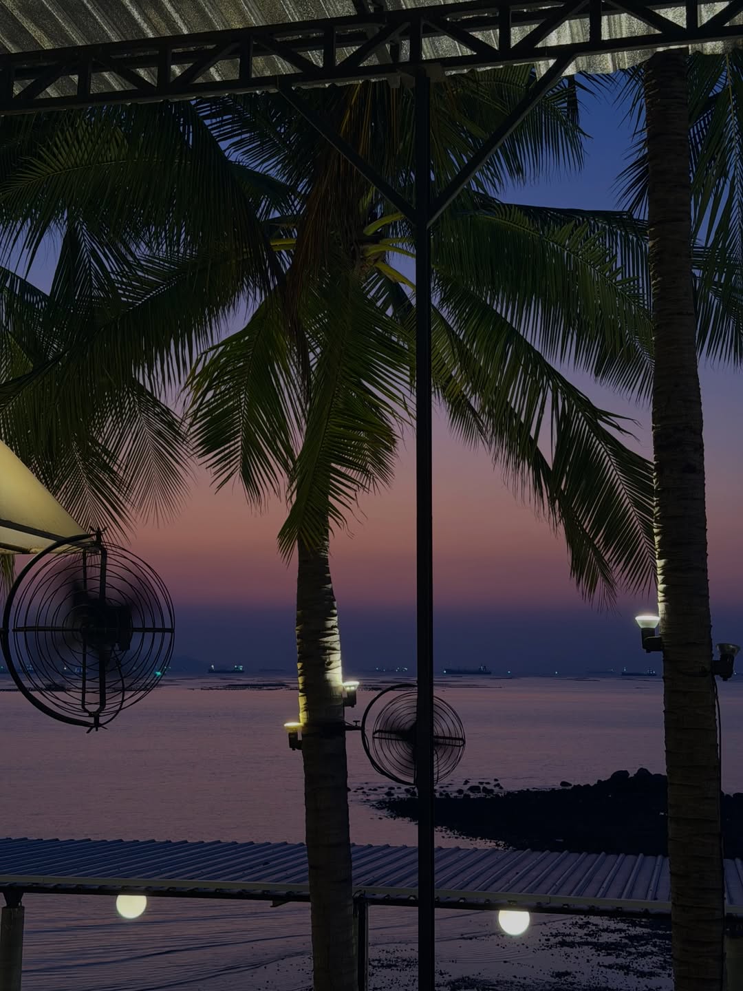 ฟรีน - สโรชา จันทร์กิมฮะ