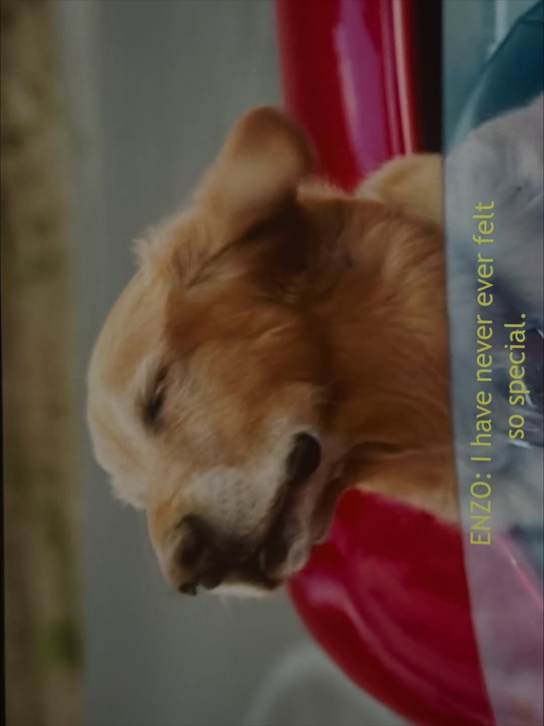 ฟรีน - สโรชา จันทร์กิมฮะ