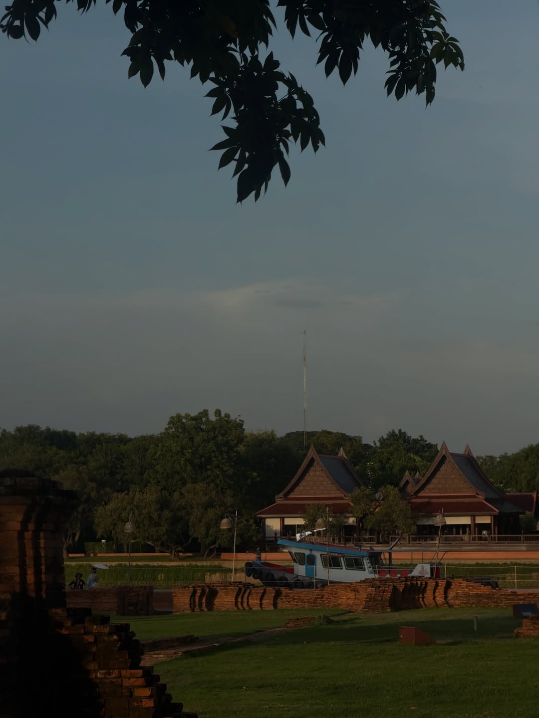 ฟรีน - สโรชา จันทร์กิมฮะ