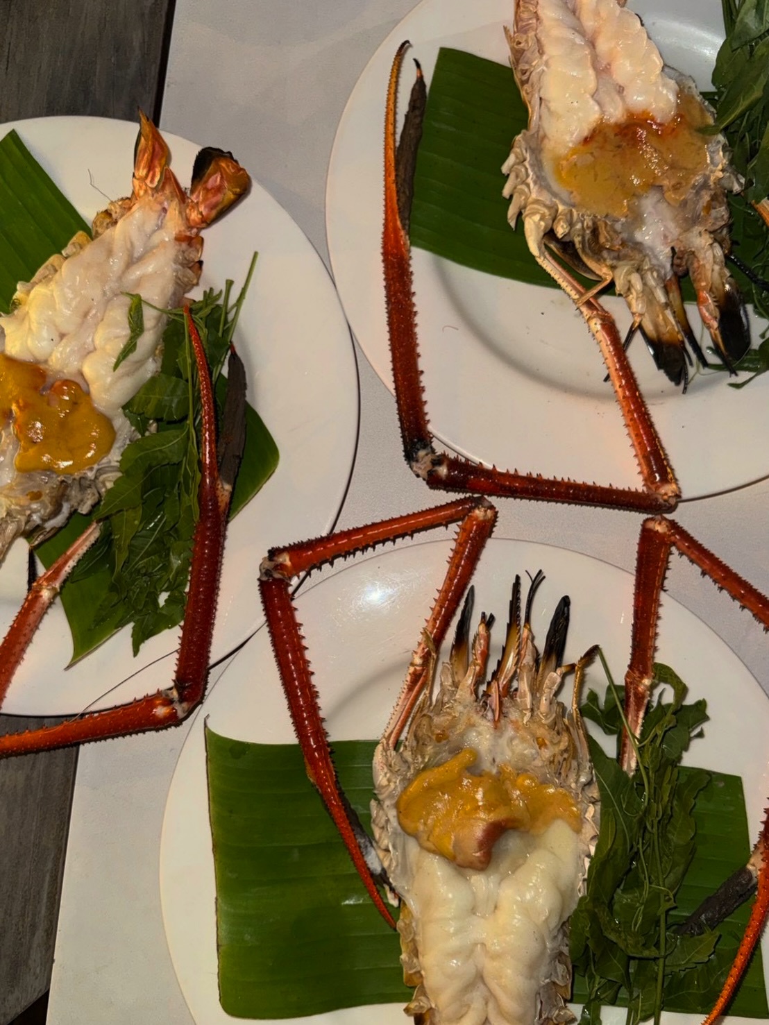 ฟรีน - สโรชา จันทร์กิมฮะ