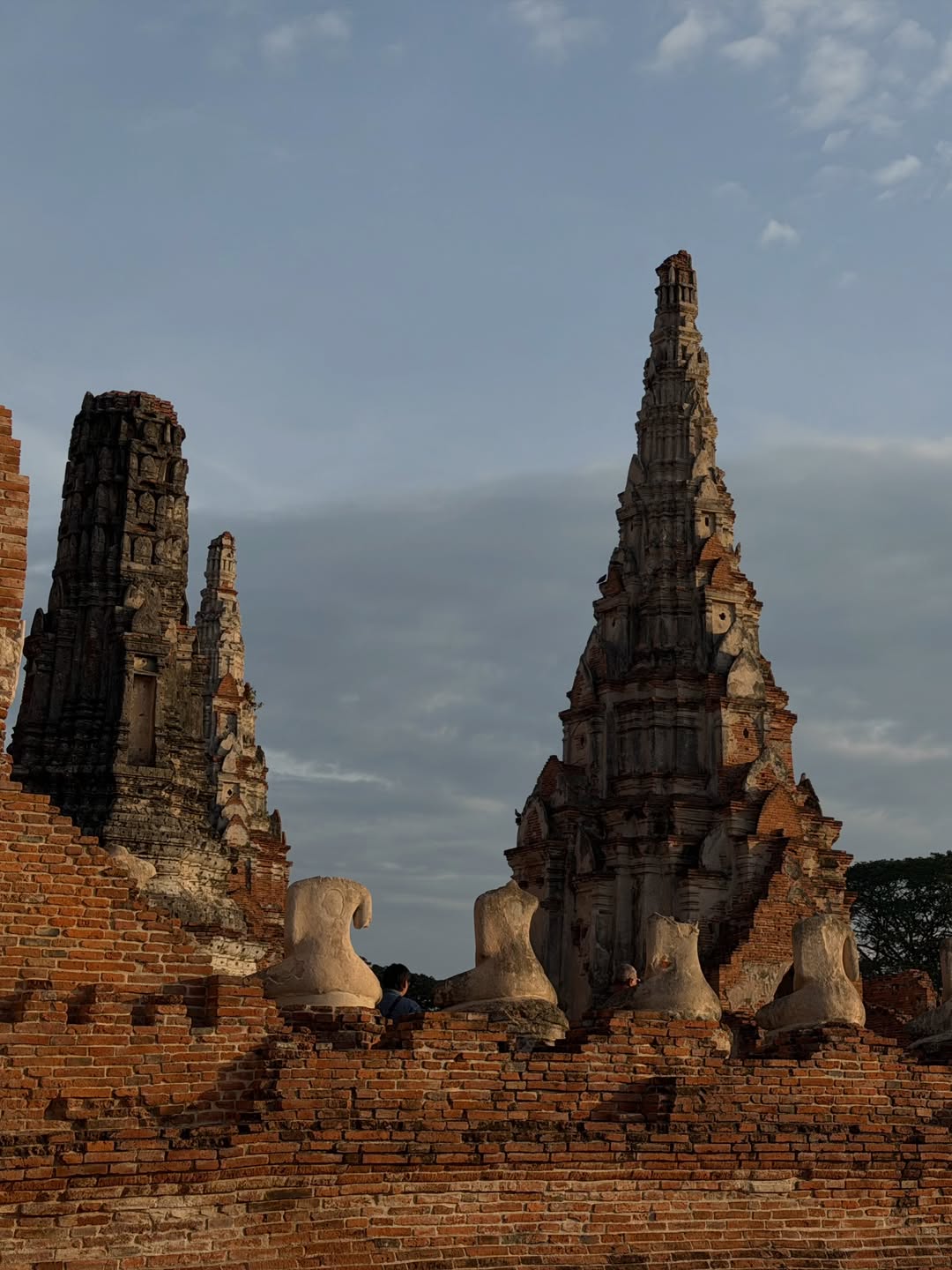 ฟรีน - สโรชา จันทร์กิมฮะ