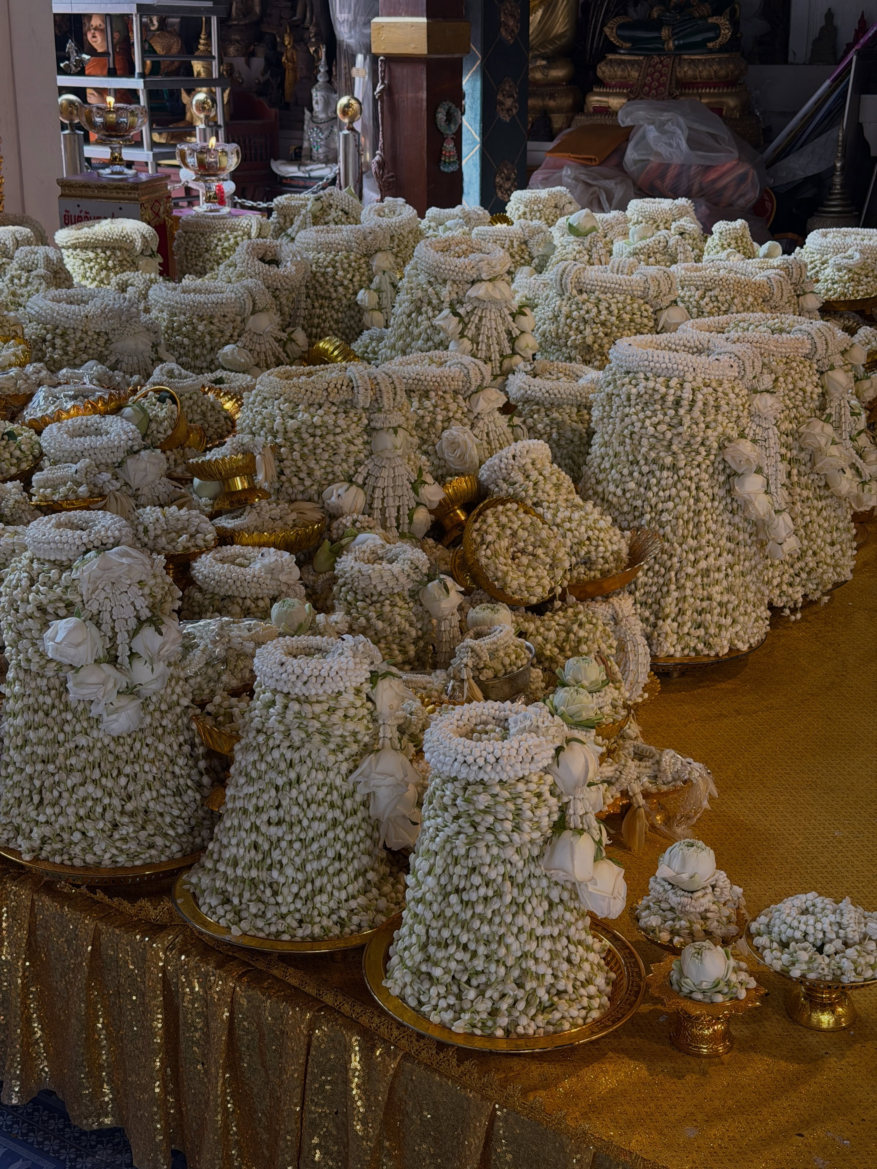 ฟรีน - สโรชา จันทร์กิมฮะ