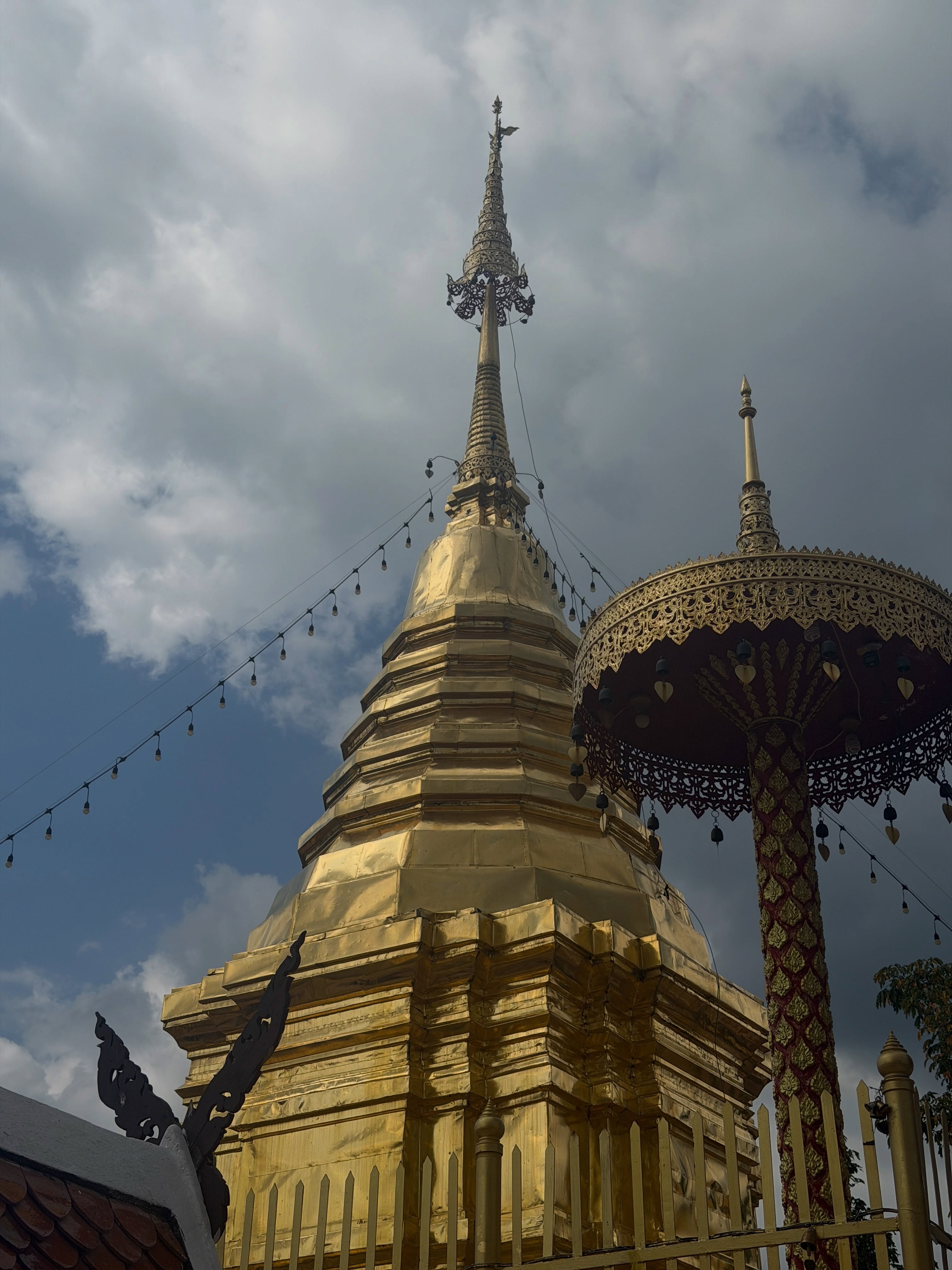 ฟรีน - สโรชา จันทร์กิมฮะ